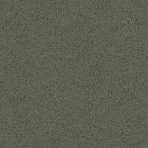 Ambiant Cypress